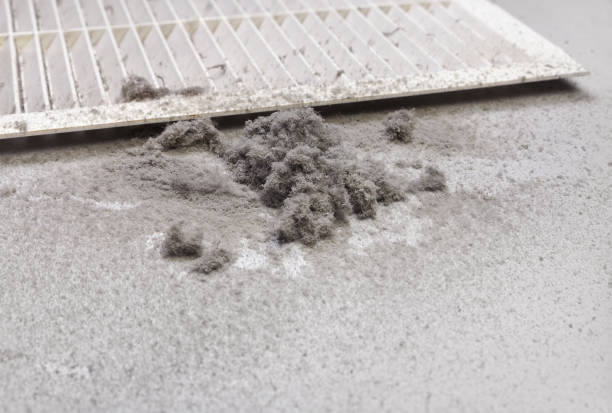 Best HVAC System Cleaning  in El Jebel, CO